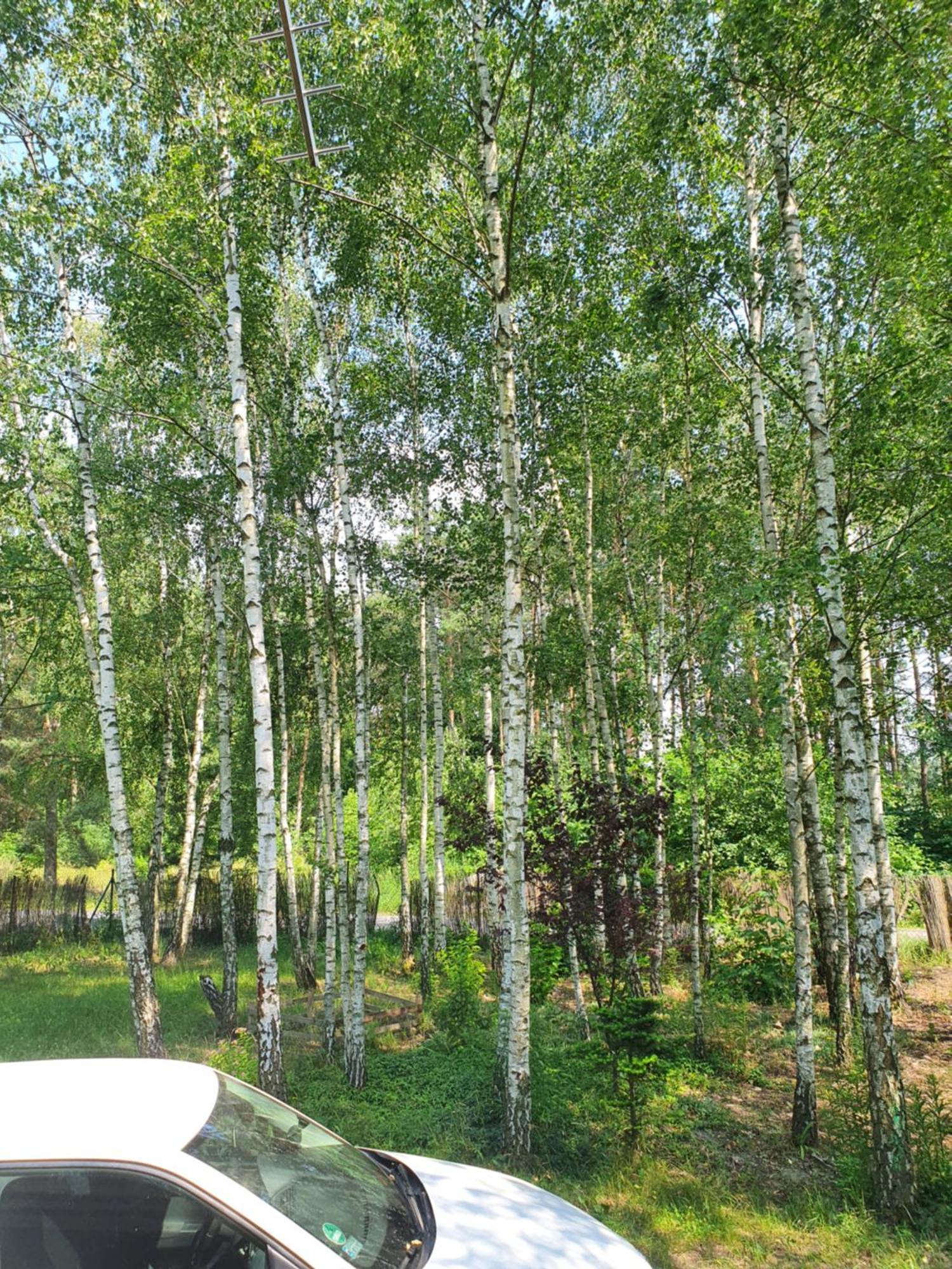 Domek Letniskowy Treby Stare Exteriér fotografie